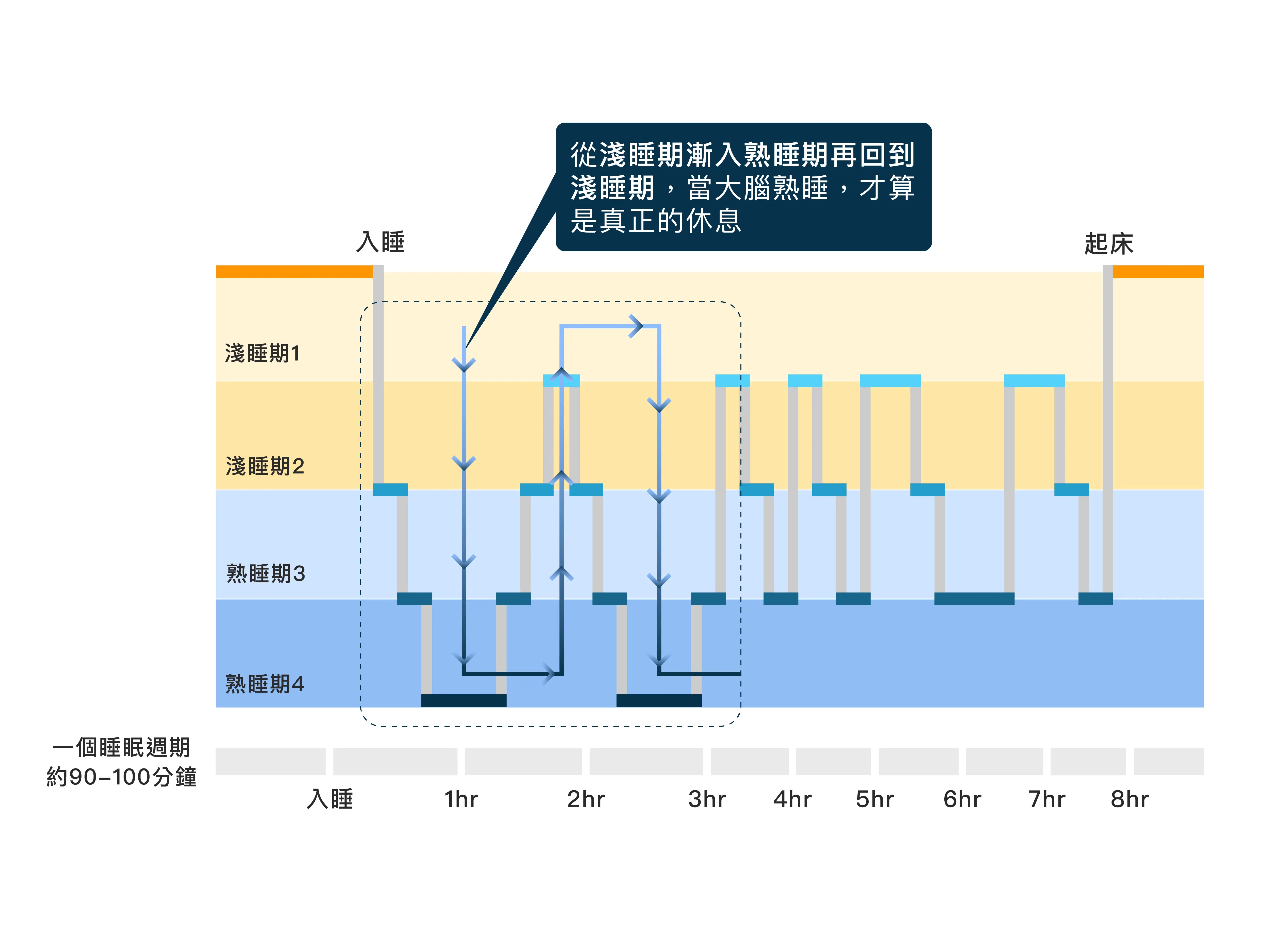 正常睡眠週期介紹