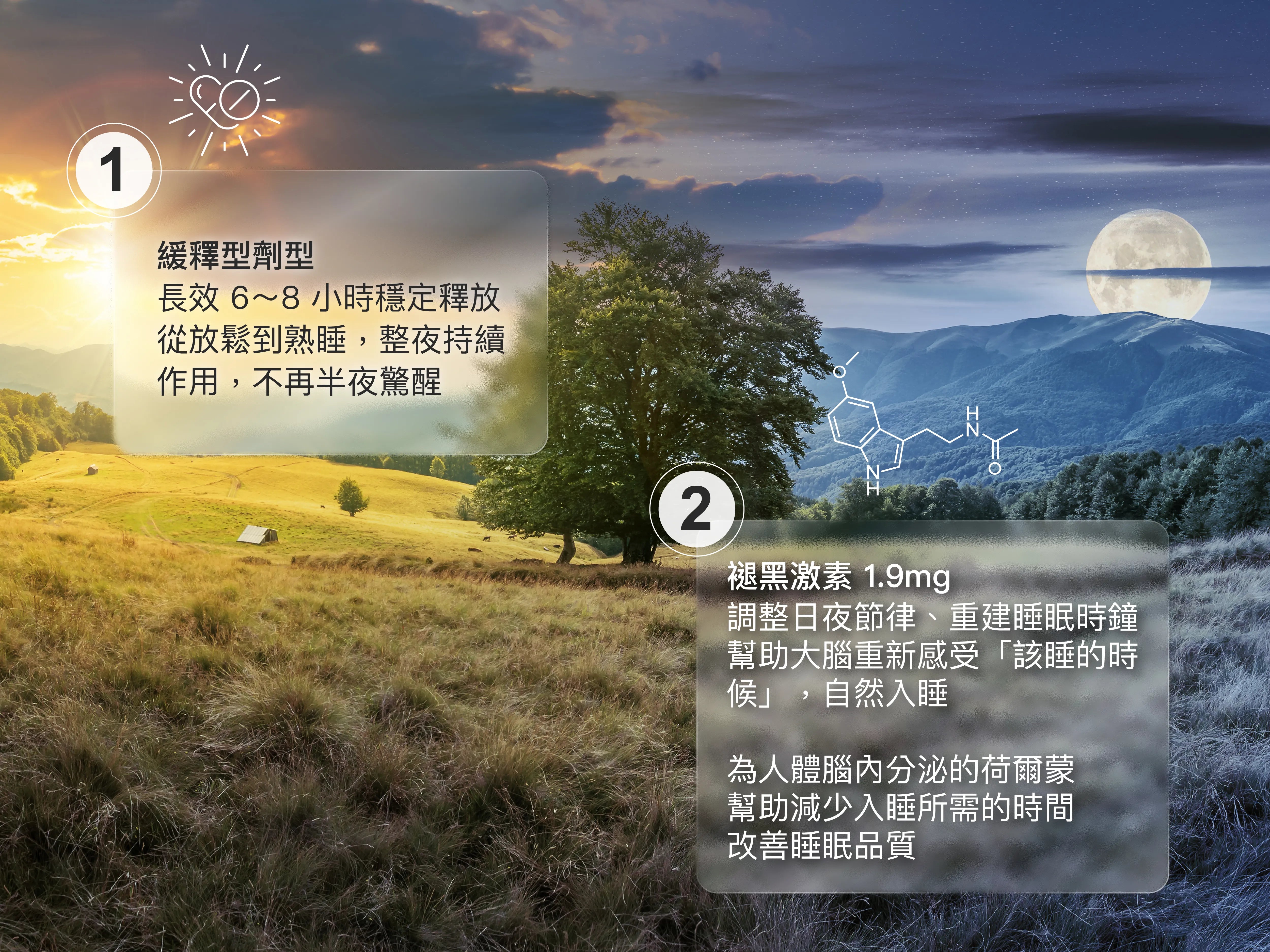 睡無憂 Total Night LP成分介紹