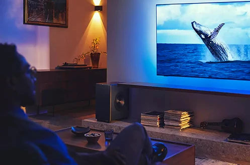 Philips Fidelio製 サウンドバー FB1「スタジアム」