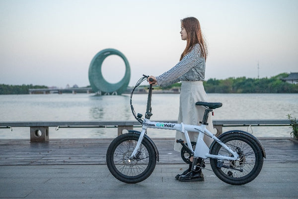 折りたたみ電動自転車、見た目がかっこいい！デザインのこだわりは -50th