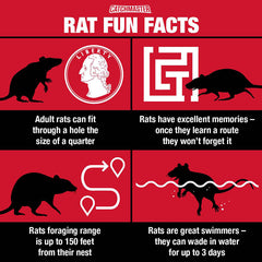 Rodent Trapping Tip