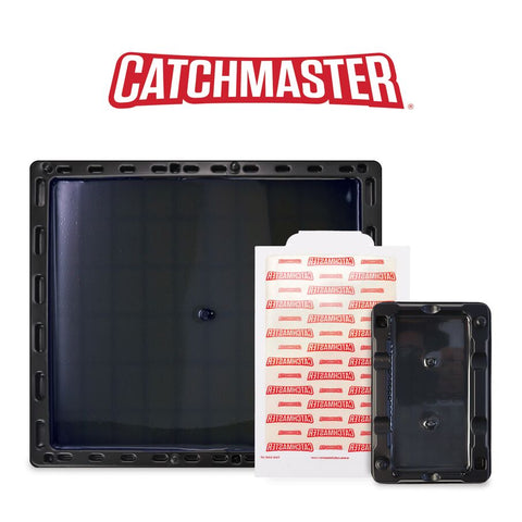 The Catchmaster logo above an example of Catchmaster's jump glue tray, patterned glue board, and small glue tray.