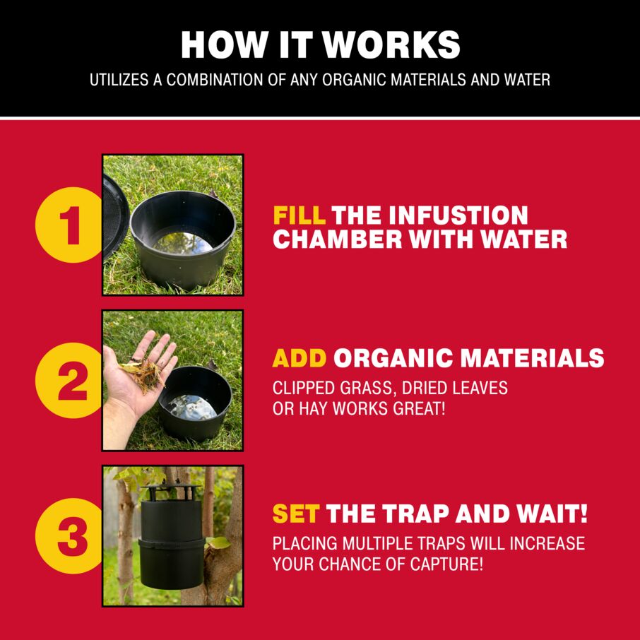 An infographic explaining how to set up Catchmaster’s Oasis Ovi-Mini Water Jar & Glue Board Mosquito Trap.