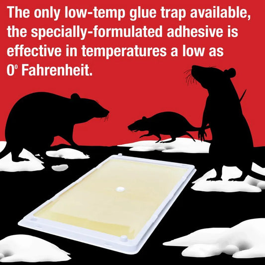 911169 Catchmaster Glue Trap: Disposable, Trapping Mice, Bait Box