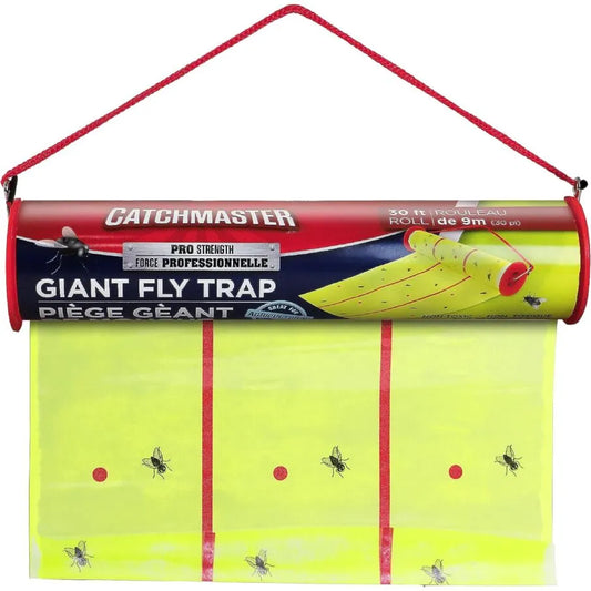  Catchmaster 912R4 Mini Gold Stick Fly & Wasp Catcher 4 Pack :  Insect Traps : Patio, Lawn & Garden