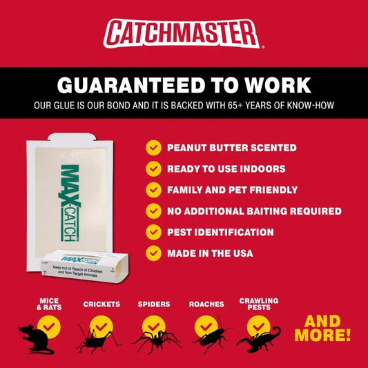 Max-Catch Mini Mouse Glueboard - Provar Distributors Ltd