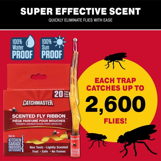 Window Fly Traps by Catchmaster - 48 Count, Ready to Use Indoors. Insect,  Bugs, Fly & Fruit Fly Glue Adhesive Sticky Paper - Waterproof Easy