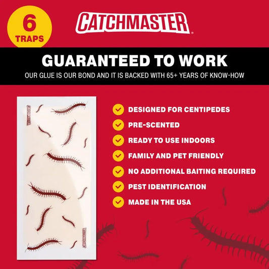 Catchmaster 100i – Trampas Cucarachas – 30 Piezas – Trampas Adhesivas de  máxima Calidad para Cucarachas – Sin Veneno ni biocidas – Trampa Anti