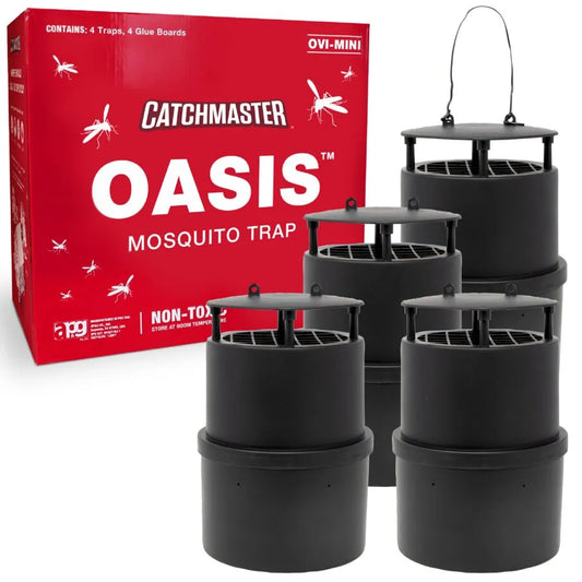 911169 Catchmaster Glue Trap: Disposable, Trapping Mice, Bait Box