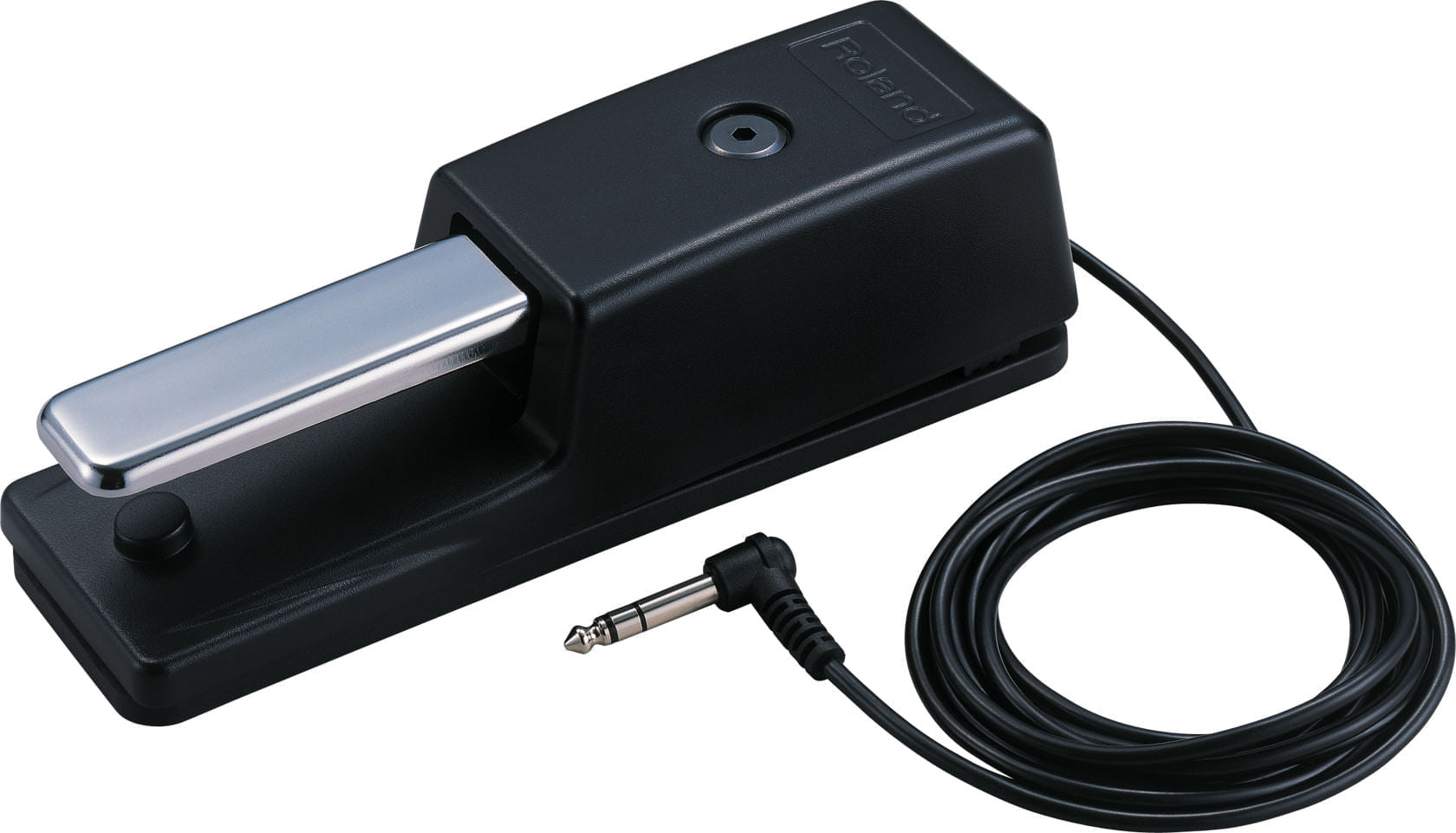 Imagem do produto Roland DP-10 | Pedal de Sustain Seminovo