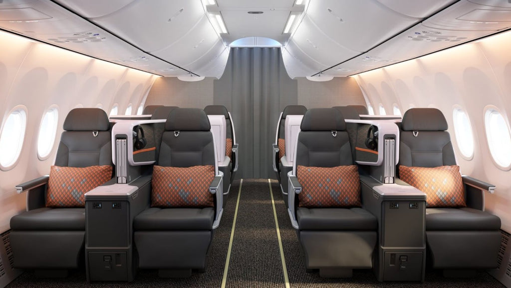 Boeing 737 Max Business Class