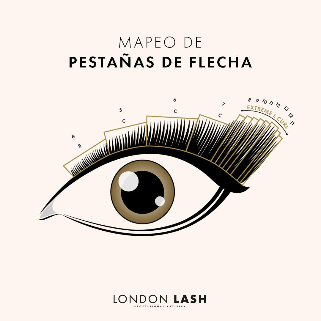 mapeo de pestañas de flecha | London Lash España