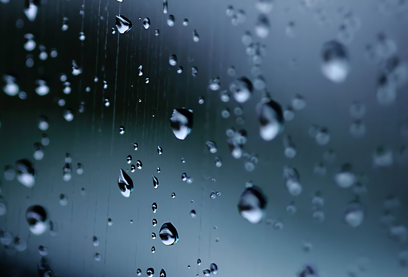 梅雨前に必ずやるべき!革製品のカビを防ぐ3ステップメンテナンス