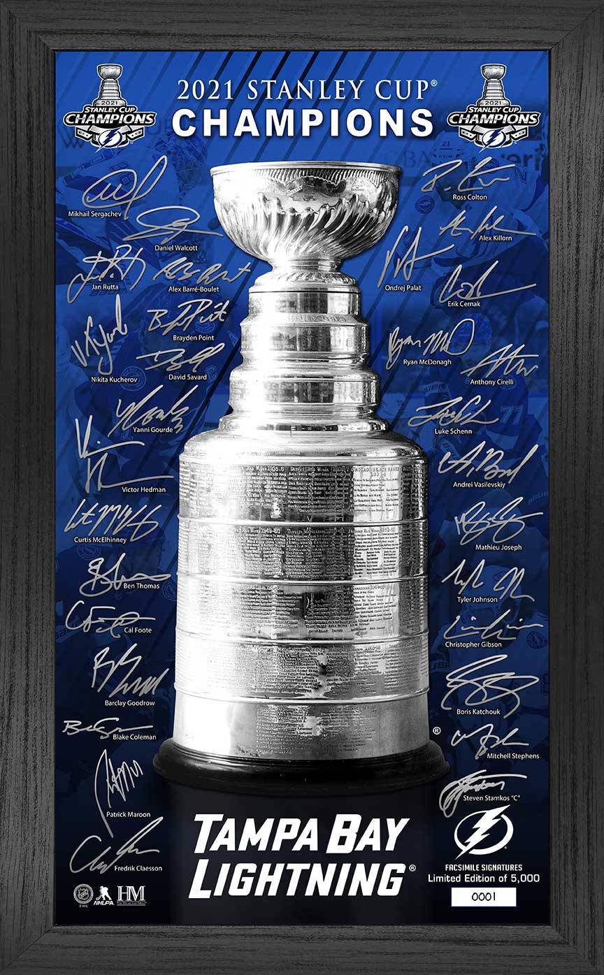 The STANLEY CUP @ The St. Louis ARENA 1st Yr. PLAYOFFS Blues CUSTOM Lab  8X10 NEW