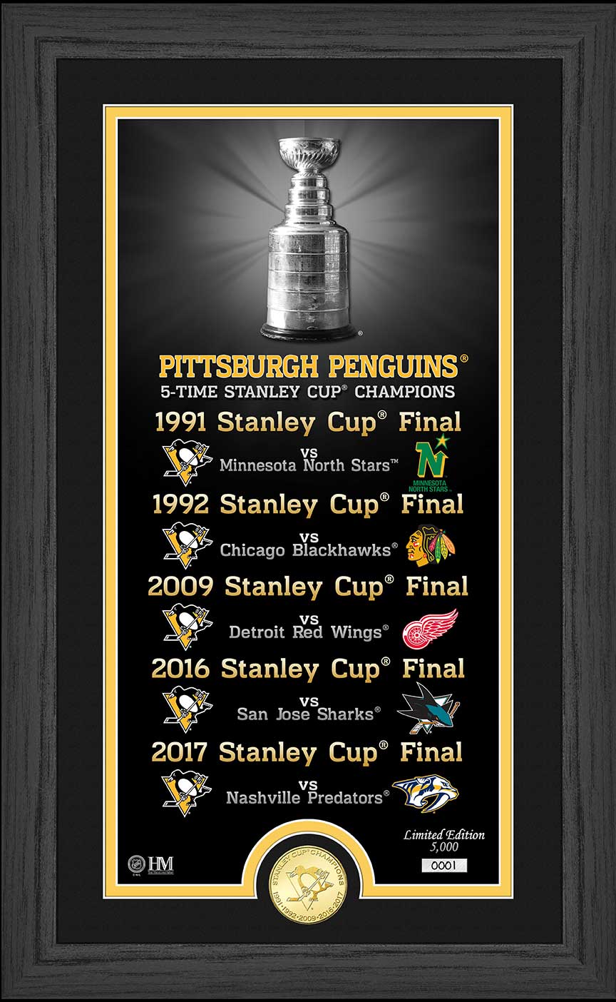 24 Inch Pittsburgh Penguins Stanley Cup Champion Banners. Set of All 5 Stanley  Cup Banners 