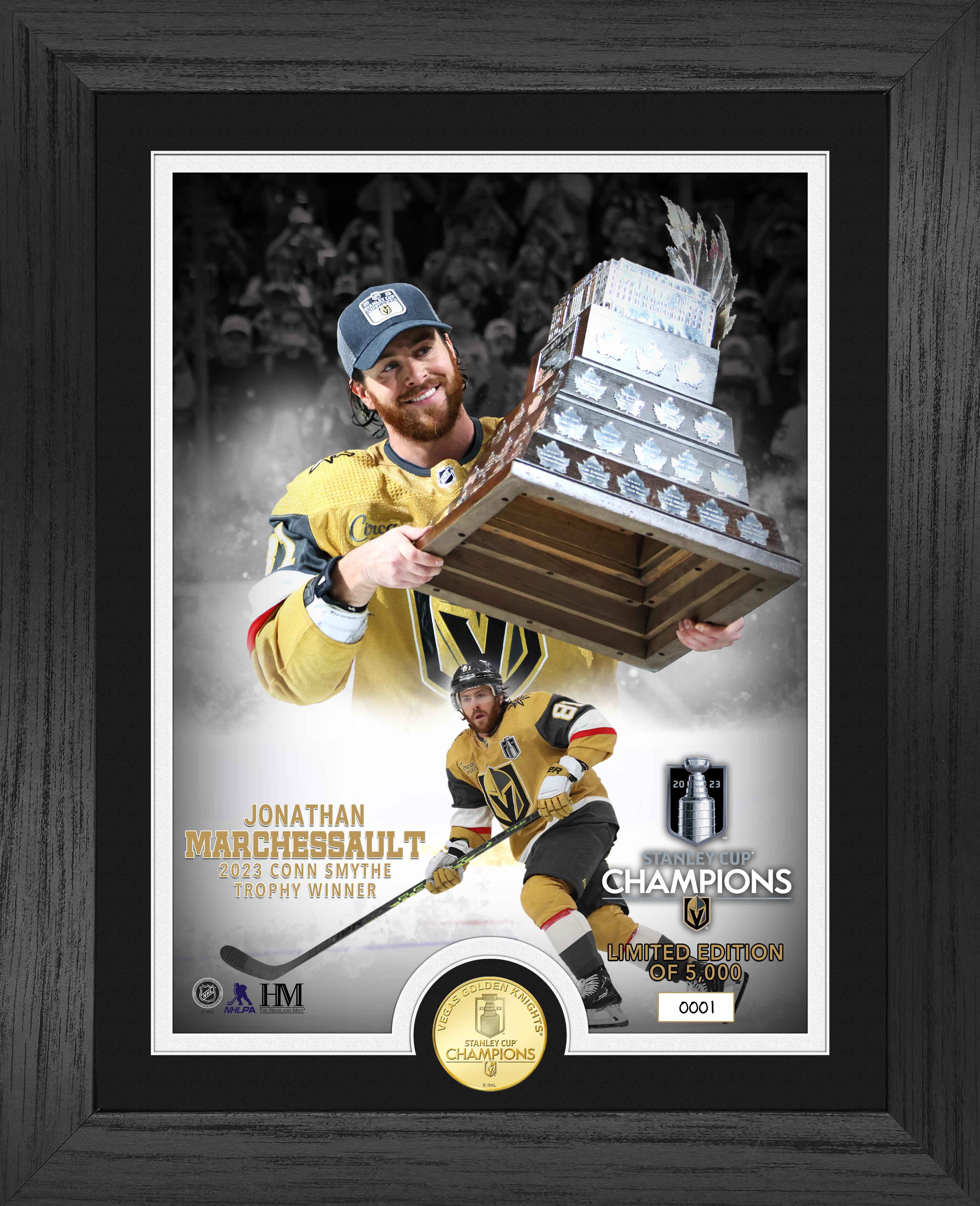 Las Vegas Golden Knights NHL 2023 Stanley Cup Champions Dynasty 12X18  Banner