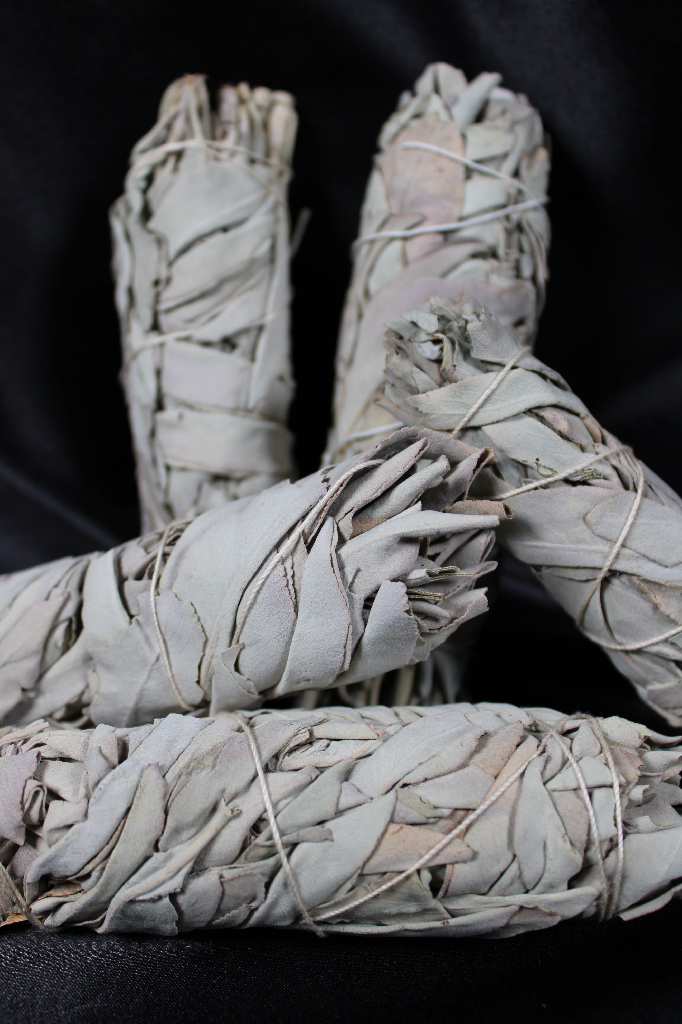 White Sage | 4 Inch Bundle
