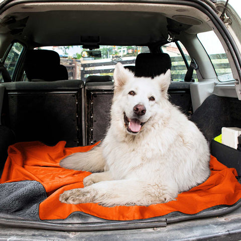 A dog sits comfortably on an orange waterproof blanket in the backseat of a car and laughs with his tongue out