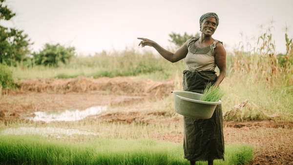 African woman holding grass in a field