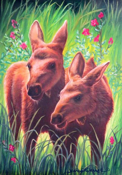 "Moose Babies" Oil Painting by Jeanne Warren