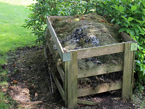 Image of Compost by Manfred Zimmer