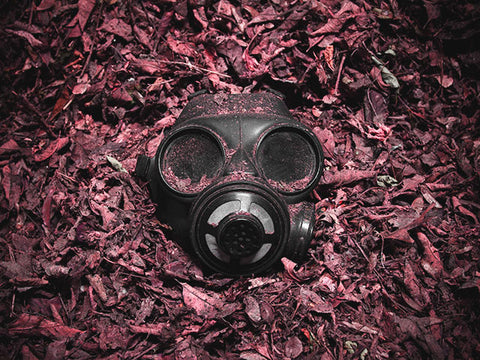 Gask mask in leaves by Scott Rodgerson