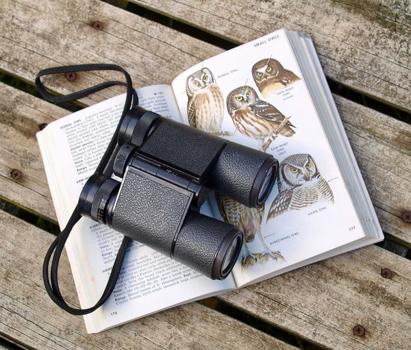 Binoculars resting on a bird field guide.