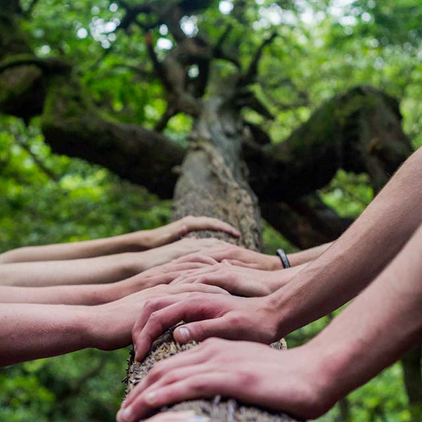 Many hands resting on a large branch by Shane Rounce