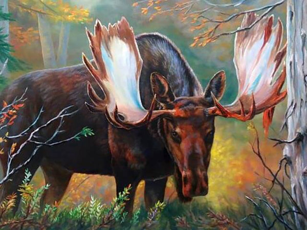 Moose watching painting by Jeanne Warren