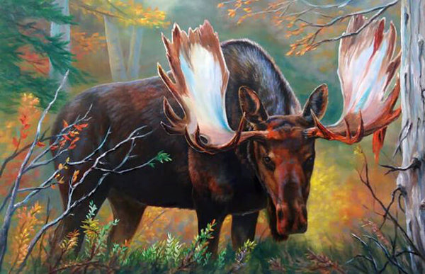 "Moose Watching" oil painting by Wildlife Artist Jeanne Warren