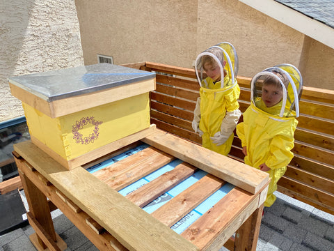 our first hive lesson.