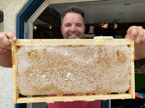 Will with a beautiful frames full of honey