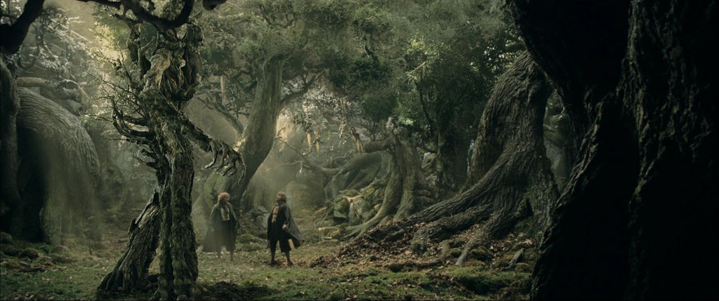 Did the Ents ever go to war against Sauron? - Quora