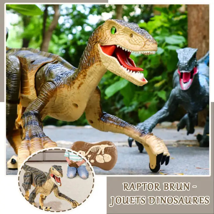 dinosaure-velociraptor-telecommande-gason