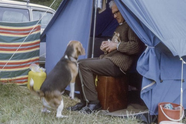 camping-with-puppy