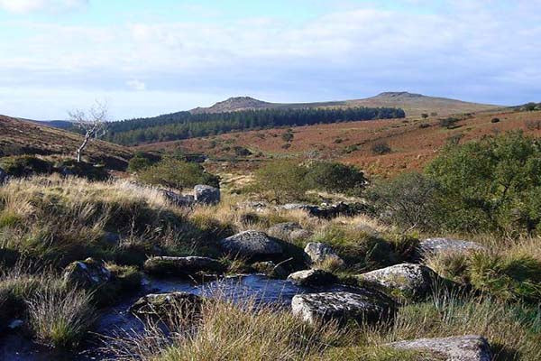 dartmoor-national-park