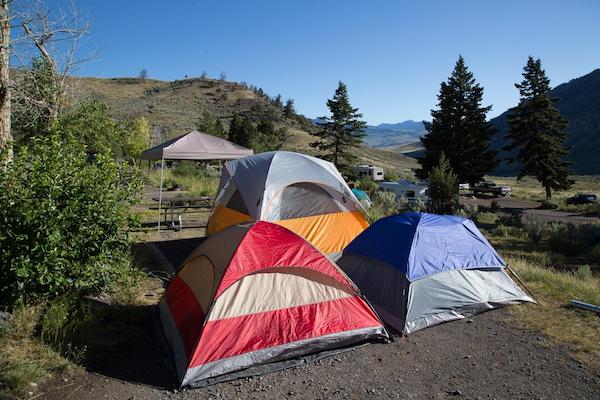 mammoth-hot-springs-campground