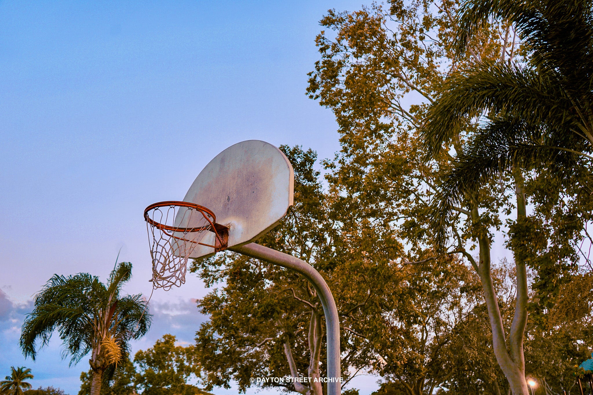 basketball hoop with beautiful nature in background