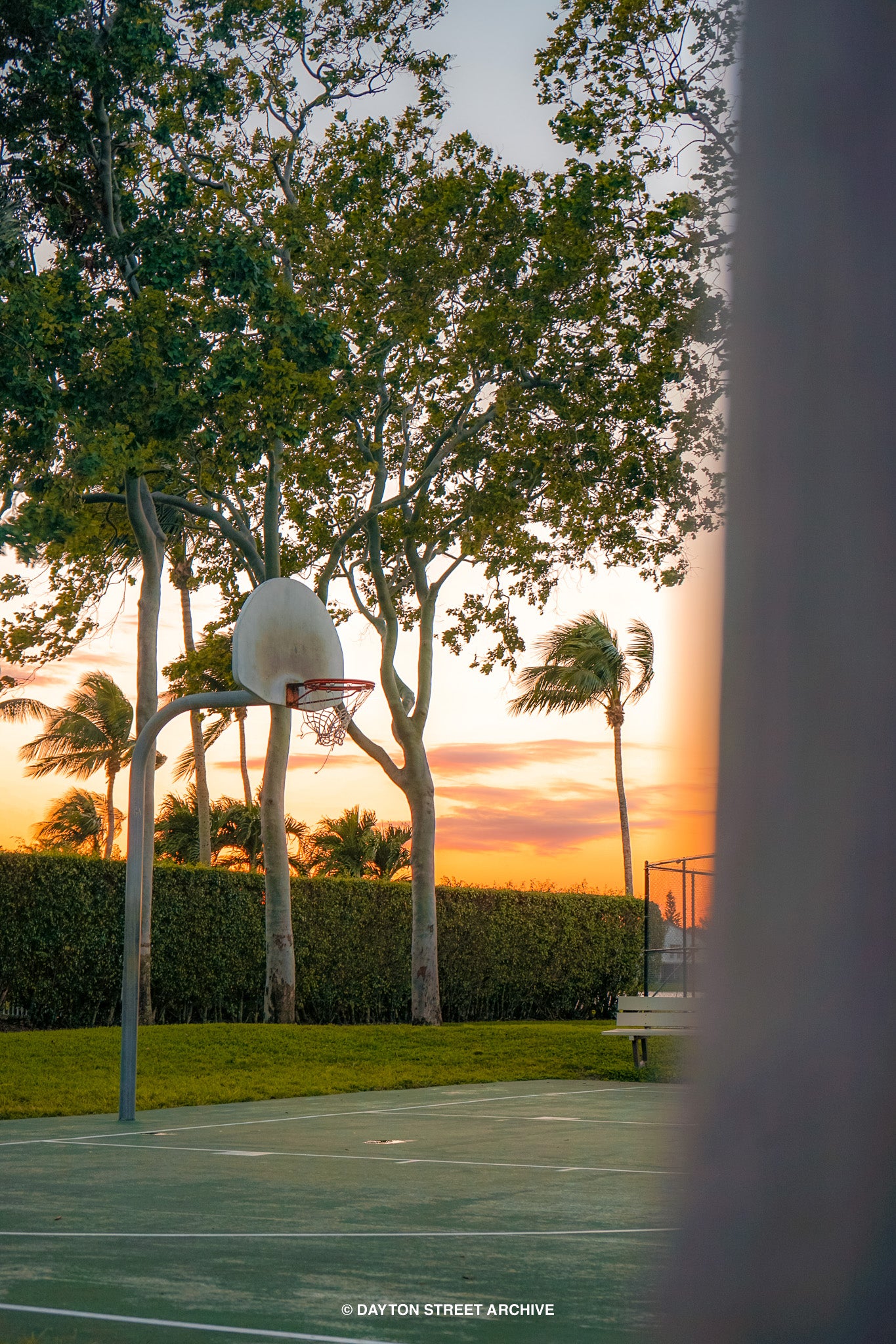 beautiful basketball court with palm trees, sunset