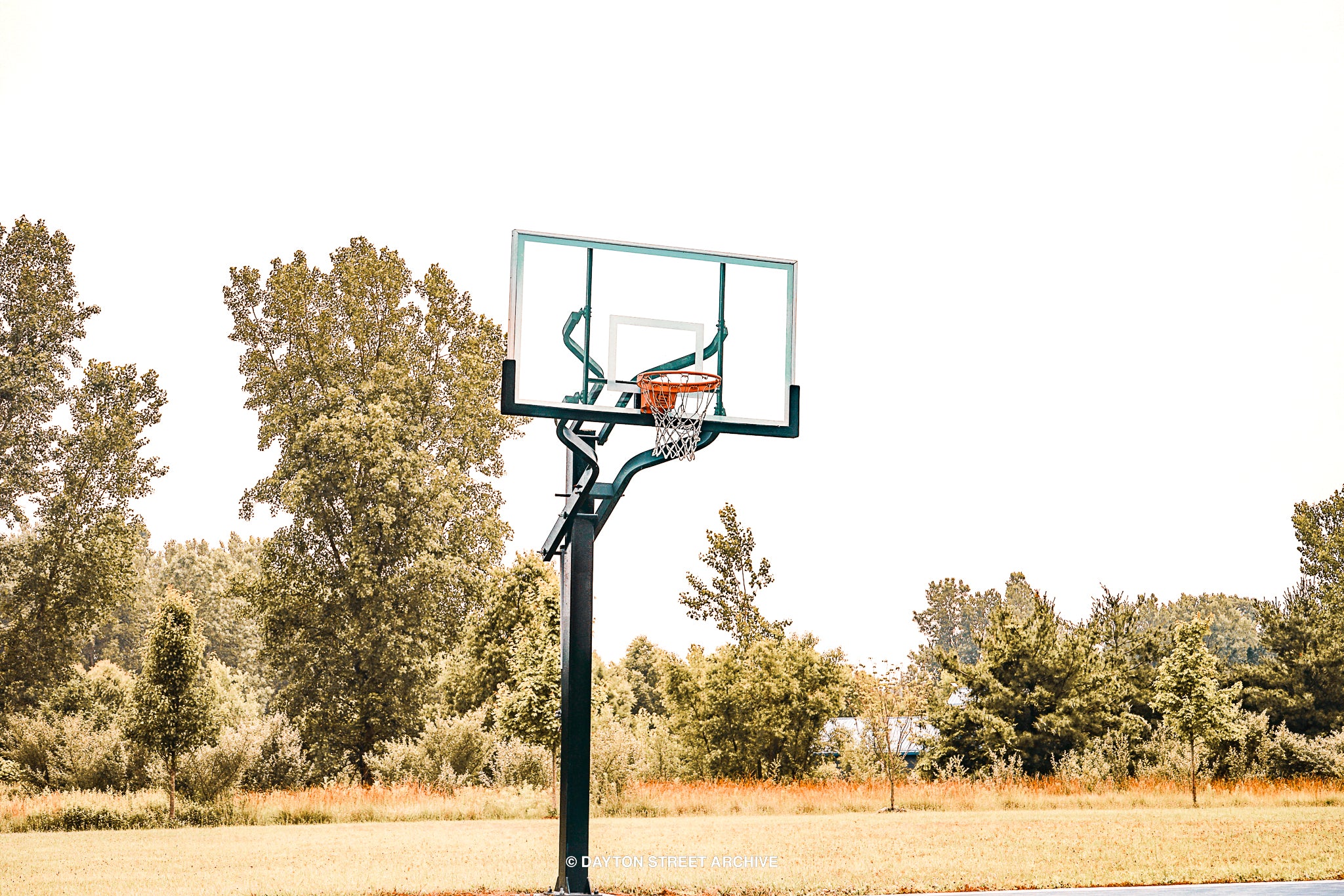 Photograph of beautiful basketball hoop in Michigan court with golden grass