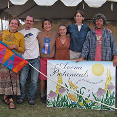 Avena Team at CGF 2007