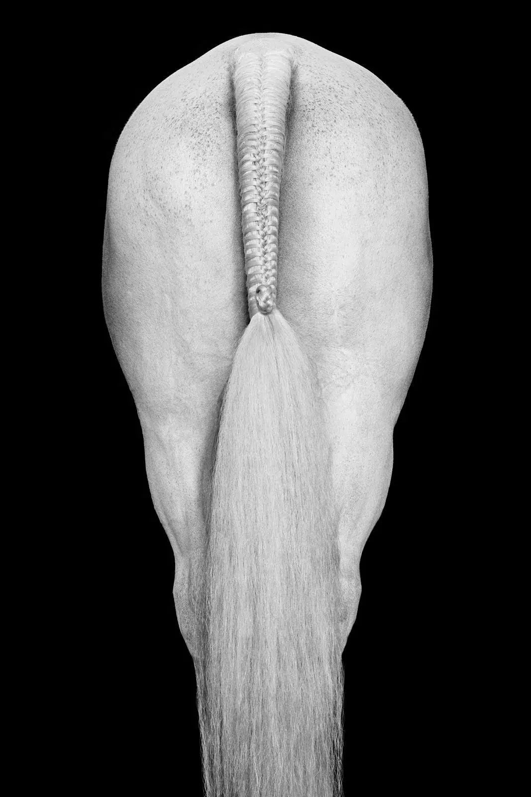 Align III, by Drew Doggett