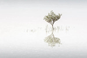 Alone, by Anthony Lamb - PurePhoto - Alone Book