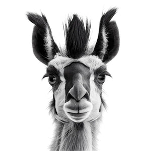 Animal Portrait of Llama, by Trinette + Chris - PurePhoto
