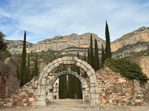 Fine Art Photography Prints Priorat Spain Wine Region