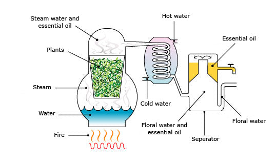 Steam distillation proccess