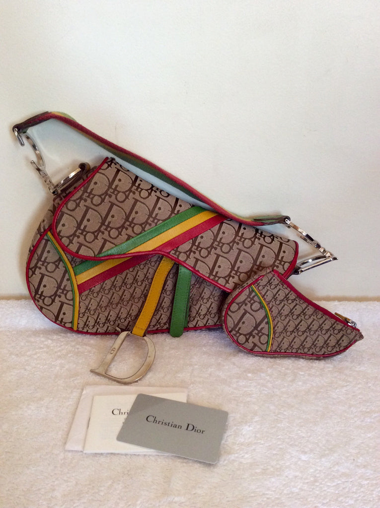 dior saddle bag rasta