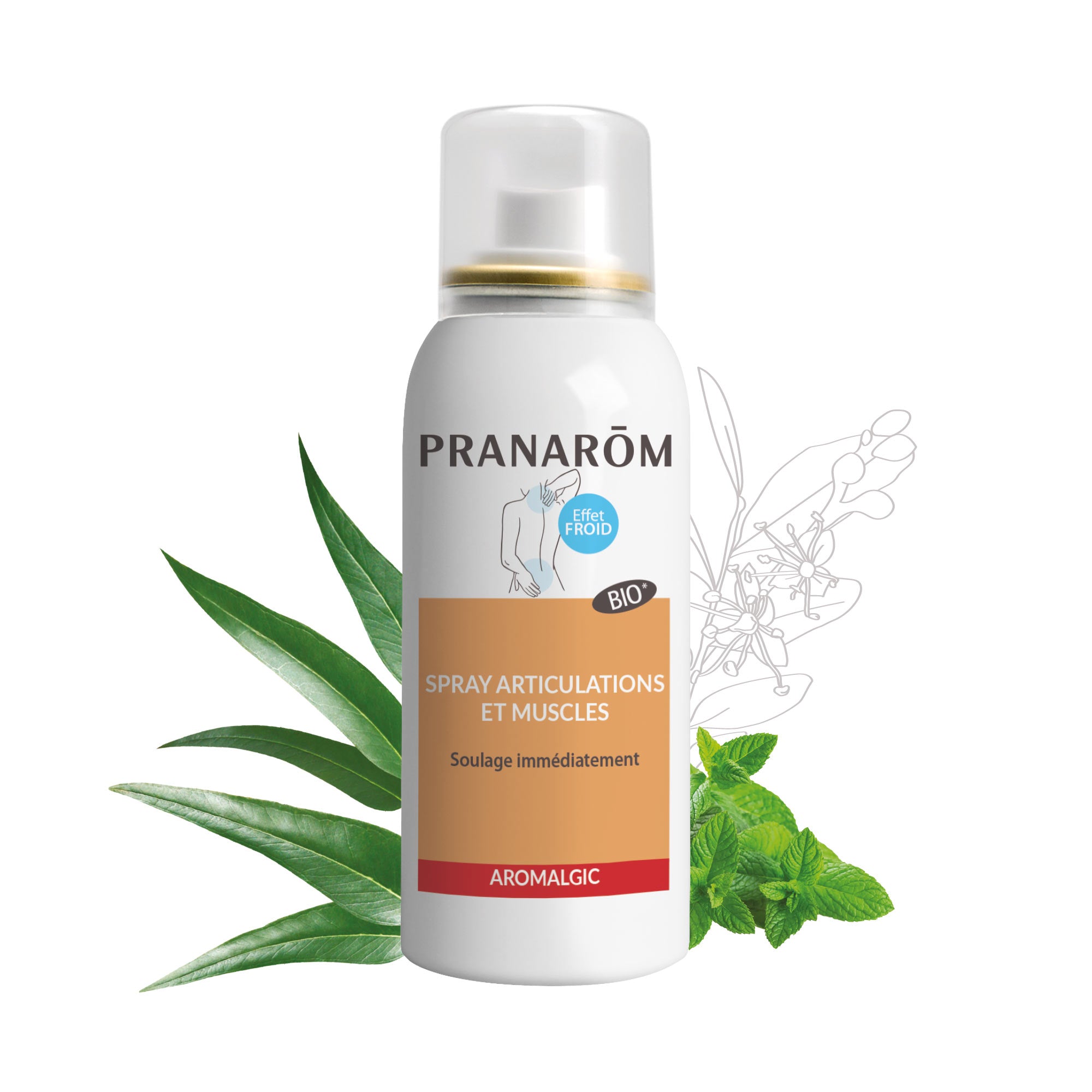 Pranarôm Spray Ambiant Anti-Moustiques AROMAPIC, 150 ml - Boutique en ligne  Ecco Verde