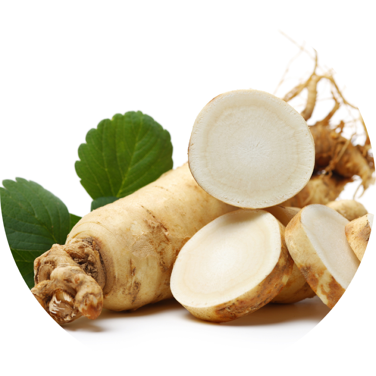 Ginseng Root Extract