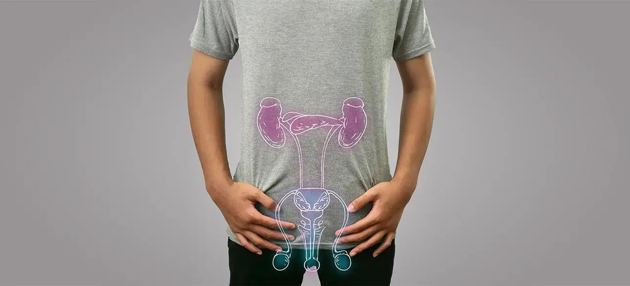 Urinary Flow and Prostate Health